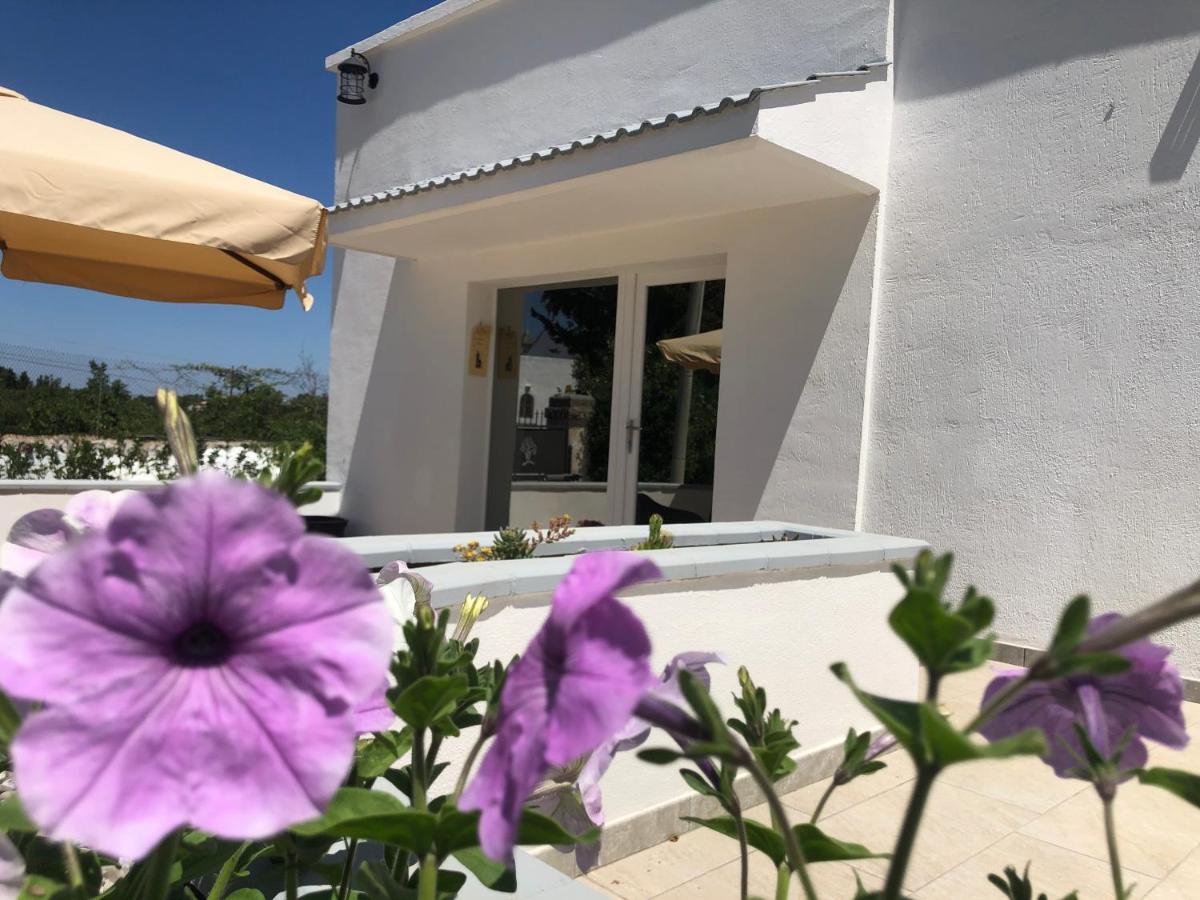 Casa Vacanza I Cedri 마르티나프란카 외부 사진